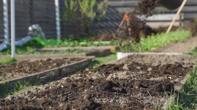 Slow motion fertilizing vegetable garden bed with vermicompost in spring