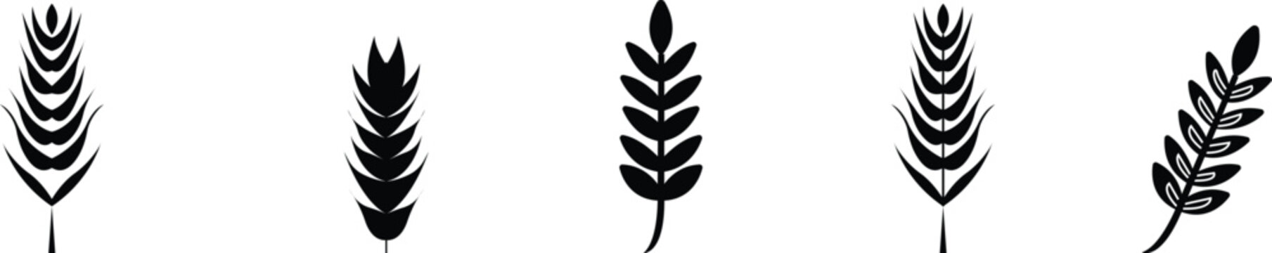 wheat vector icon set. bio agricultary, nature summer harvest art, hatching wheat Ear Grain Harvest Plant, abstract monogram logo template ,framework icon, and bicolor grunge Gluten watermark design.