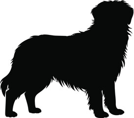 Obraz premium Black silhouette of a fluffy dog standing dog silhouette