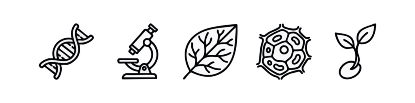 Line art science icons: DNA, microscope, leaf, cell, and sprout.
