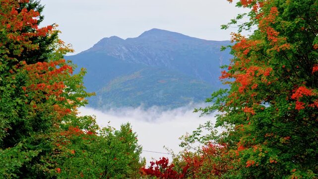 Mt. Adam&rsquo;s, NH autumn