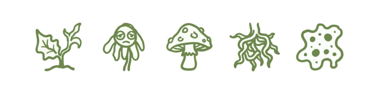 Green hand-drawn icons related to nature and fungi: plant, creature, mushroom, roots, and blob