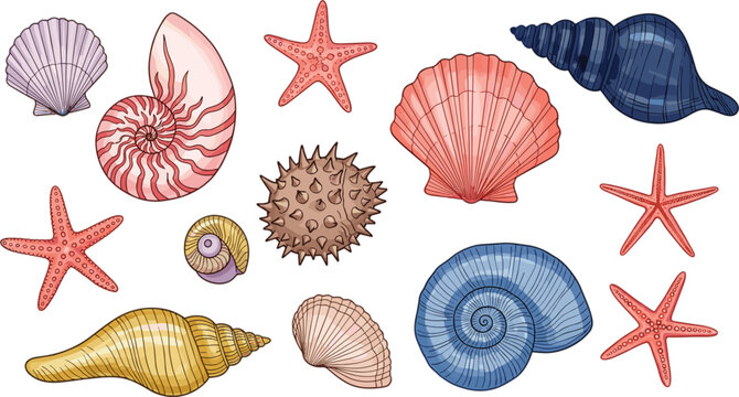Hand-Drawn Seashell and Starfish Collection, Marine Life, Nautical Elements for Beach, Ocean, and Coastal Designs