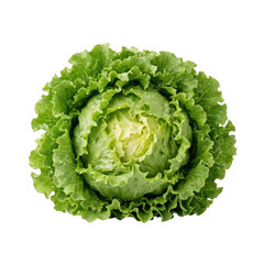Obraz premium Fresh head of crisp green iceberg lettuce isolated on black background
