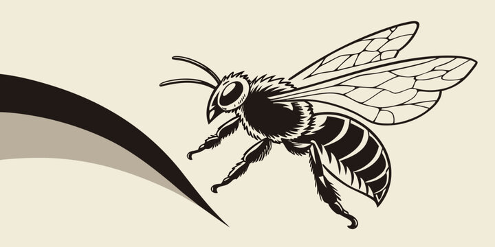 Detailed black and white insect illustration of a honey bee flying with wing movement and stylized graphic curves wildlife illustration stylized pollinator honeycomb honeybee creature stinging