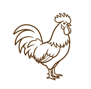 Brown line art rooster illustration standing alone  farm animal design element