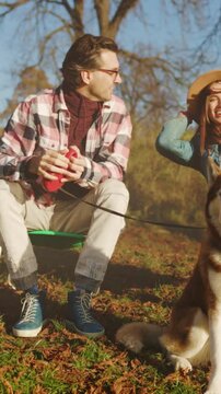 Casual chat under autumn sunlight with pet, Pair sharing laughs with dog during warm seasonal afternoon