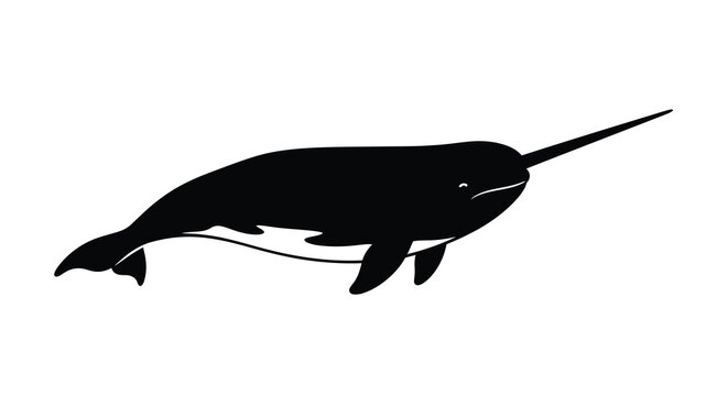 A striking black narwhal illustration with a long tusk a bold silhouette