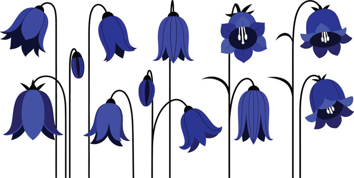 Collection of bluebell flowers in various stages of bloom, flat floral