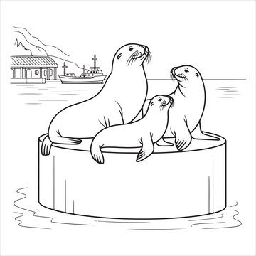 Three sea lions resting on a floating buoy in a harbor setting