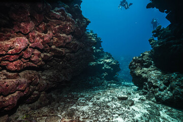 Hidden Coral Reef Passage in Tropical Waters © Satoshi