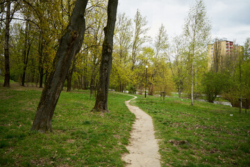 park  © Marcin Łazarczyk
