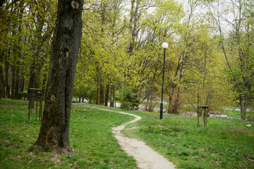 park  © Marcin Łazarczyk