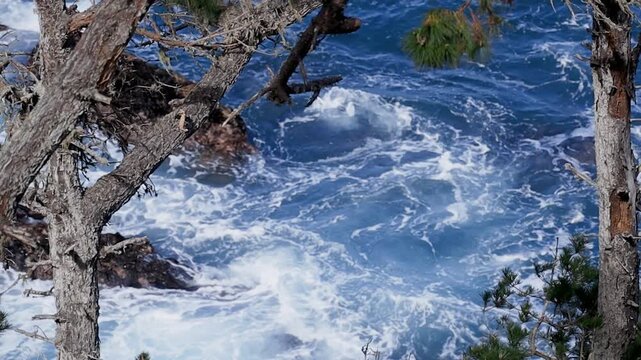 Point Lobos, CA