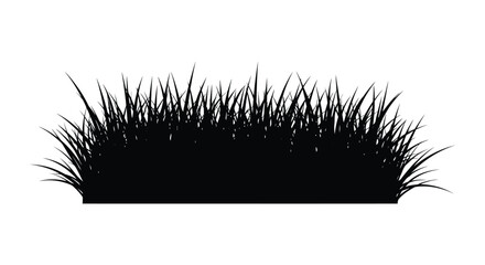 A striking black silhouette of tall grass against a bright white background silhouette © MIRAJ02