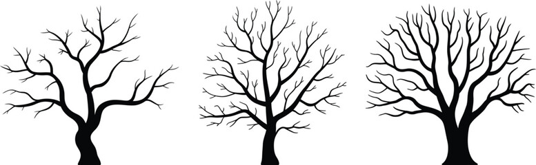 Fototapeta premium Black ink of three bare winter trees against bare branches line minimalist