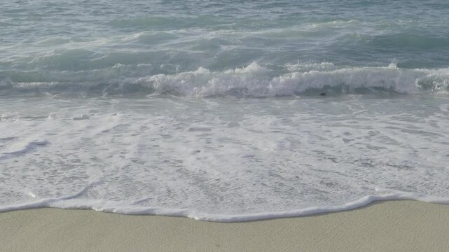 Sea waves 4k ProRes Rec.709