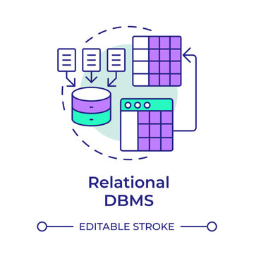 Relational dbms multi color concept icon. Information filtering, database structure. Round shape line illustration. Abstract idea. Graphic design. Easy to use in presentation, article
