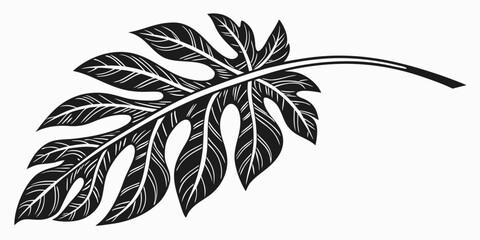Detailed monstera leaf line art graphic with monstera philodendron tropical botanical illustration isolated monochrome interior minimalist creative greenery artistic © RABBY