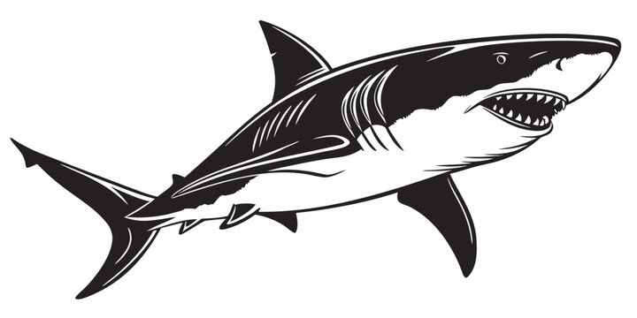 Detailed graphic art of a great white shark swimming in black and white style with marine life predator wildlife illustration swimming dangerous underwater creature monochrome stylized