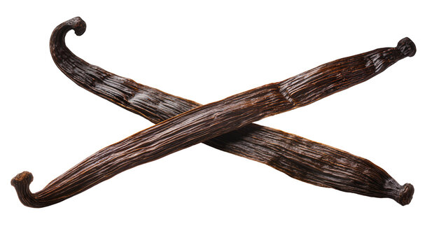 Two dark brown dried vanilla bean pods crossed, isolated on transparent background