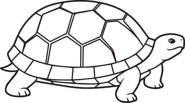 Simple line art drawing of a turtle with a patterned shell isolated on a plain white background for children coloring books or educational materials