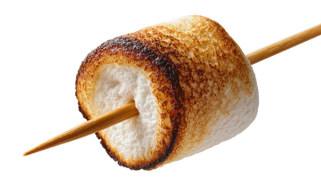 Toasted marshmallow on wooden skewer golden brown with dark char spots, isolated on transparent background
