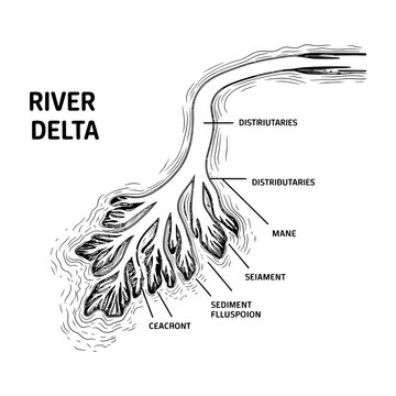 River delta labeled diagram with distributaries and sediment