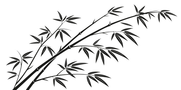 Decorative bamboo branches and leaves silhouette vector art with bamboo forest bamboo branch graphic design bamboo stalk nature art illustration silhouette botanical oriental traditional