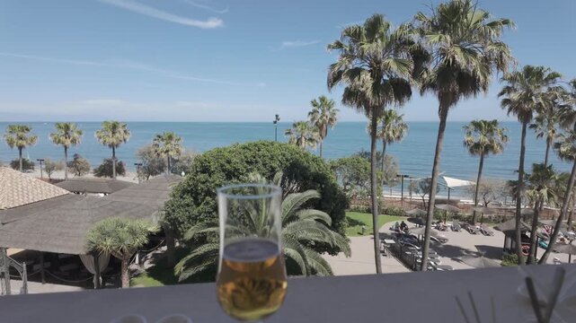 Vacaciones en la playa, mar y palmeras en el escenario.