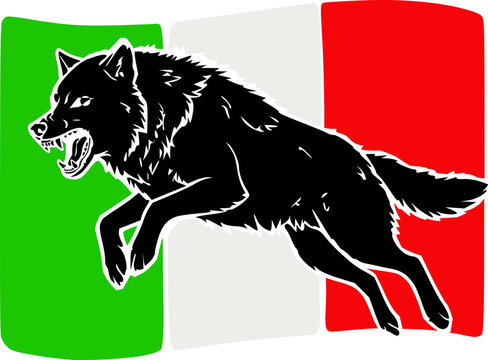 Fierce snarling black wolf silhouette on Italian flag background with national colors