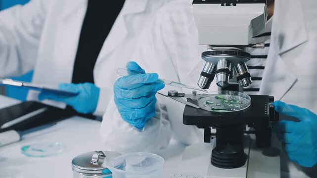 Medical science laboratory. Concept of virus and bacteria research