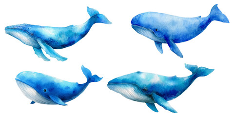 Fototapeta premium Blue watercolor whales swimming, a set of marine mammals painted with vibrant color textures, illustrating ocean wildlife and underwater life