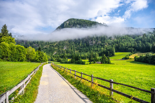 A winding road leads through a green landscape in the Alps. Trees line the sides as clouds hover above the mountains. People walk along the path enjoying the fresh air.