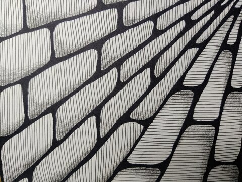 pseudo volumetric brick pattern with parallel hatching lines, abstract wall texture drawing
