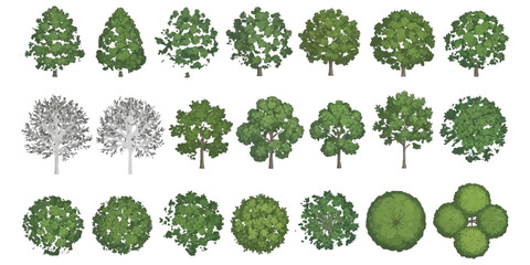 A collection of diverse green and grayscale tree illustrations shown from top and side views. © md