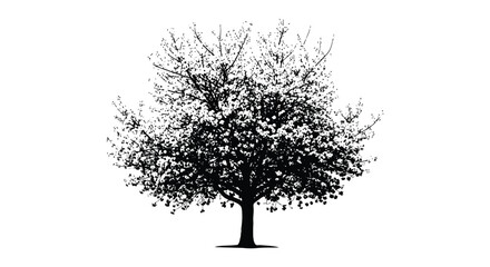 A stark detailed black tree stands prominently against a white background silhouette © Kuntol02