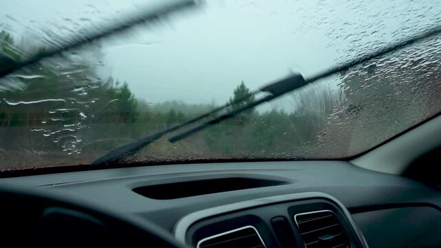 A Rainy Day Inside a Car: Capturing the Peaceful Quietness of a Drizzly Afternoon While Observing Nature Through a Foggy Windshield