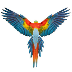 Fototapeta premium Macaw wings spread, vibrant plumage isolated on transparent background