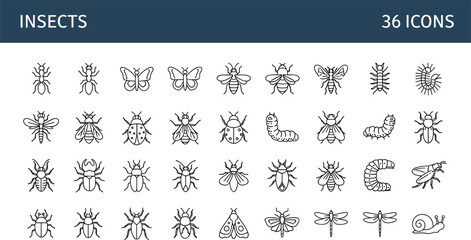 Insects bugs line icons vector set beetle butterfly ant dragonfly caterpillar outline symbols collection © Munna graphics