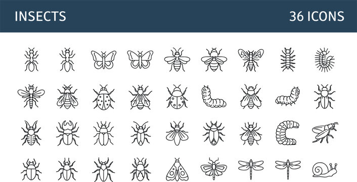Insects bugs line icons vector set beetle butterfly ant dragonfly caterpillar outline symbols collection