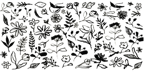 Fototapeta premium Set of hand drawn floral elements and decorative botanical sketches in black ink