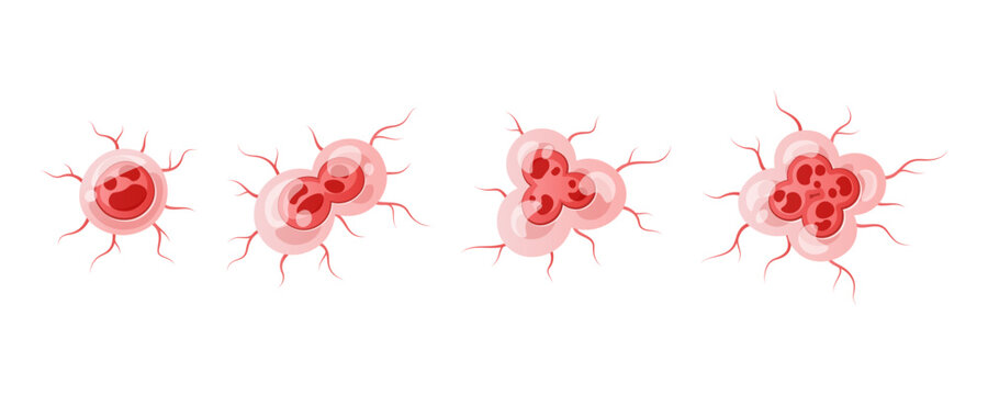 Cancer cell vector, cancer cell division isolated on white background.