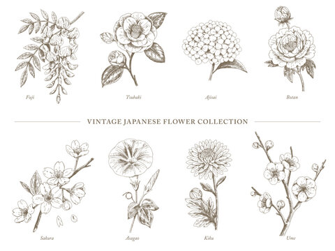 Vintage Japanese Flower Collection