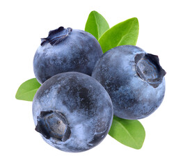 Blueberries isolated on white background. © Ying
