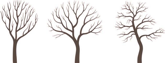 Obraz premium Trees featuring bare branches are displayed as silhouettes standing in a row against a solid white background.