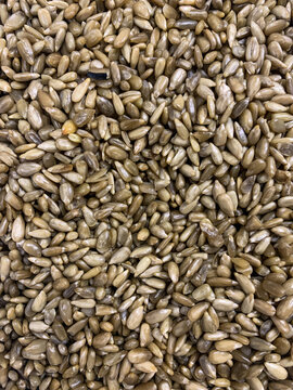 sunflower seeds close up. high quality photo