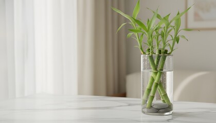 Naklejka premium Green bamboo stalks growing in water placed in a glass vase on a white marble surface, representing a sustainable plants and wellness lifestyle concept with copy space