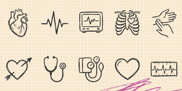 Black ink scribble doodle vector vintage hand drawn set of human internal organs heart and lungs anatomy