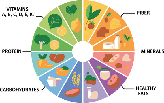 Nutrition wheel chart with food groups showing vitamins and healthy fats.